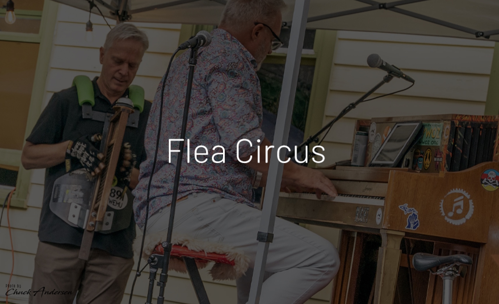 groups-flea-circus